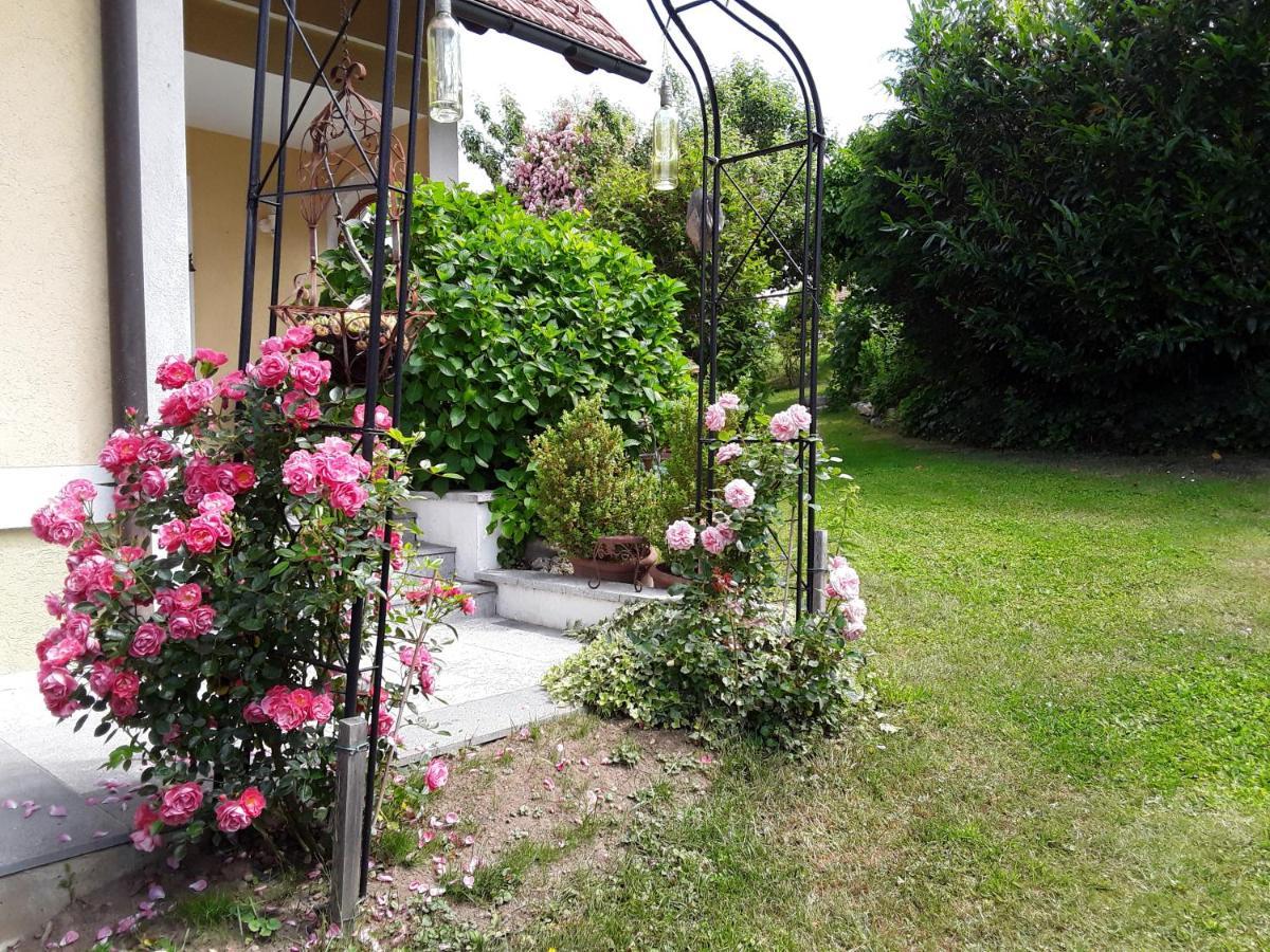 Anna'S Home - Ferienwohnungen Ratsch an der Weinstraße Exteriér fotografie