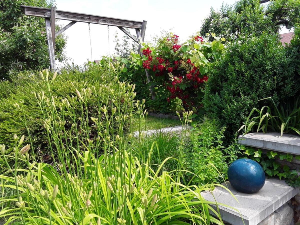 Anna'S Home - Ferienwohnungen Ratsch an der Weinstraße Exteriér fotografie